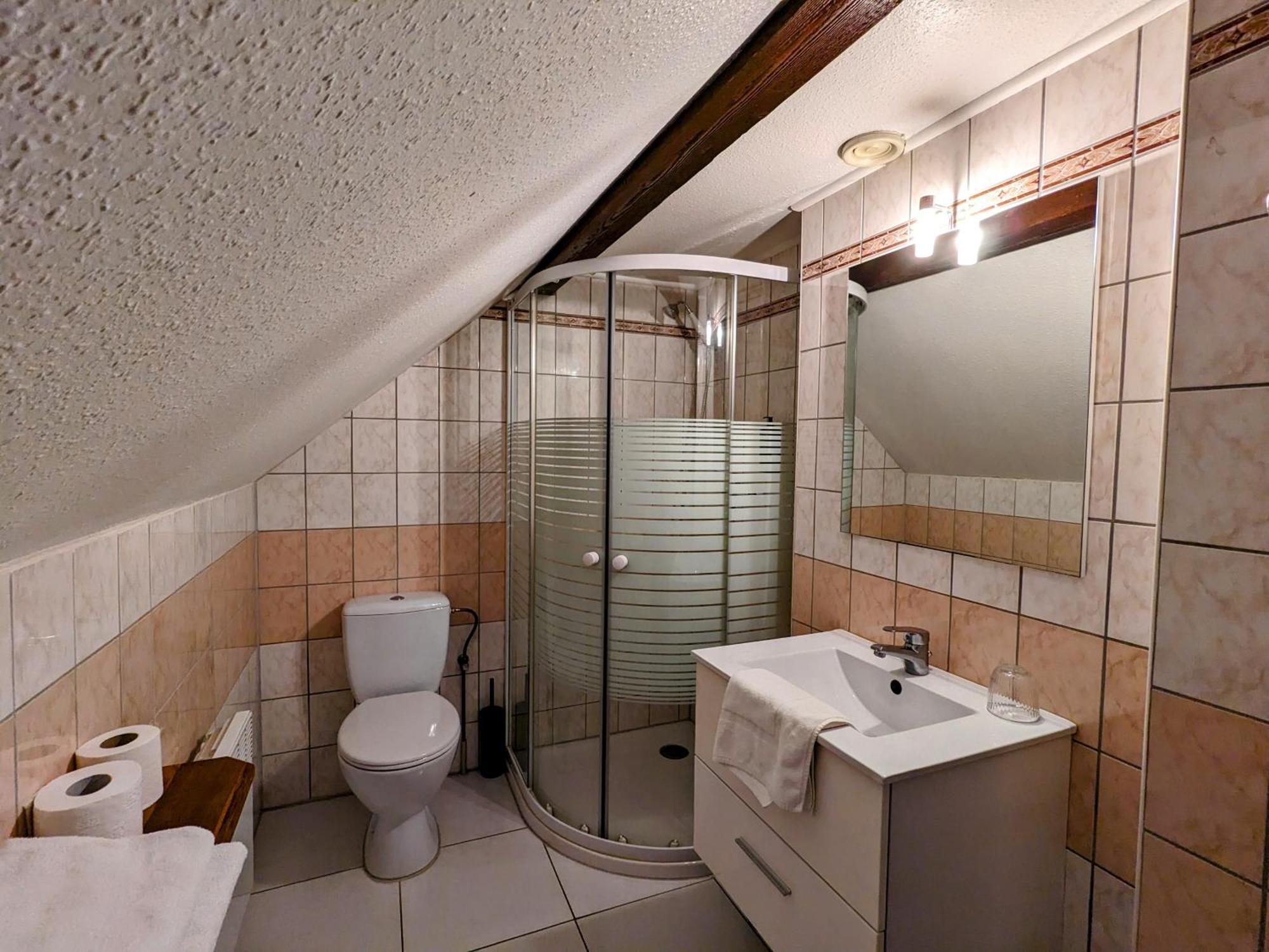 Hotel Le Chasseur Illkirch-Graffenstaden Exterior photo